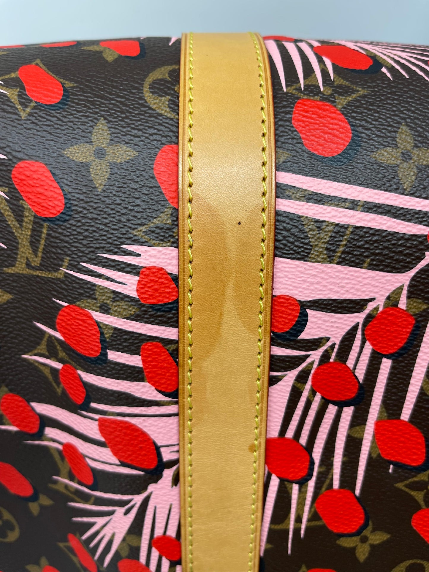 Louis Vuitton Keepall Bandouliere Jungle Dots