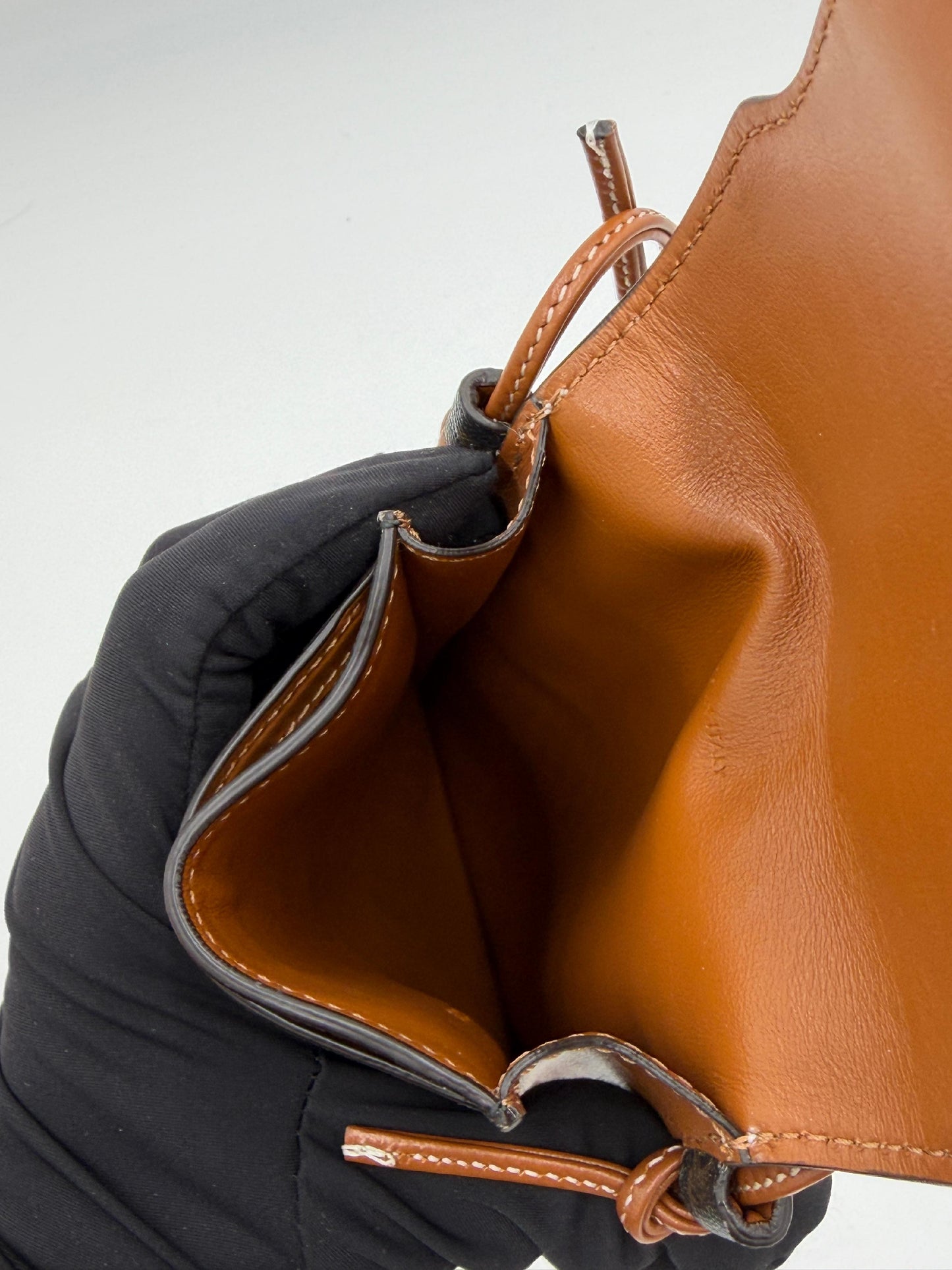 Celine Triomphe Phone Case