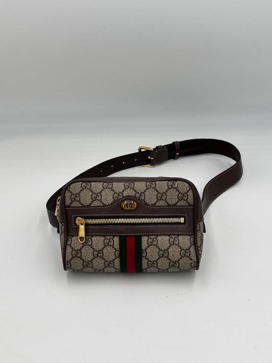 Gucci Ophidia Supreme Waist Bag