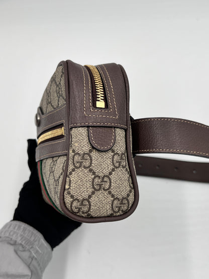 Gucci Ophidia Supreme Waist Bag