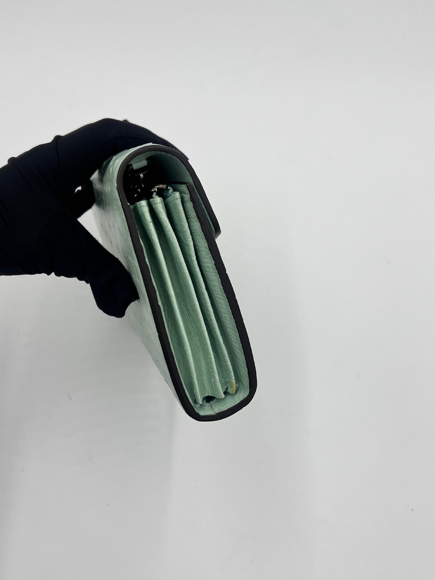 Gucci Dionysus Ostrich Chain Wallet