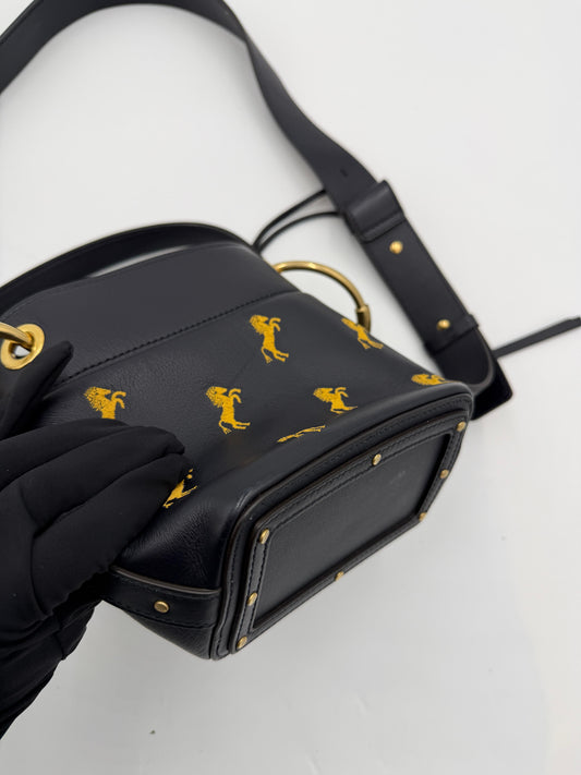 Chloe Roy Drawstring Bucket Bag