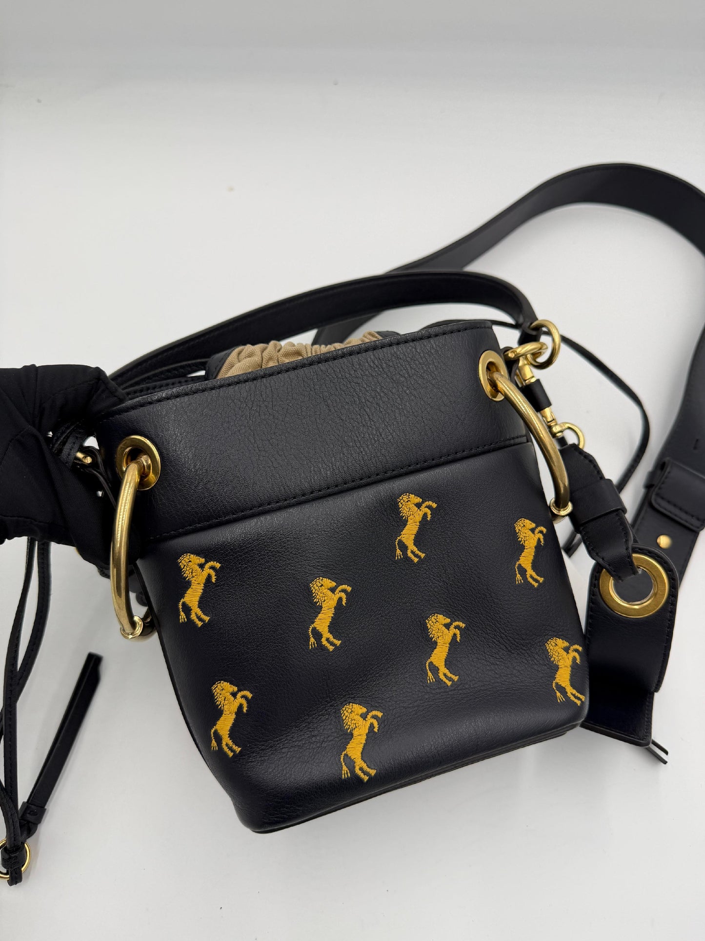 Chloe Roy Drawstring Bucket Bag