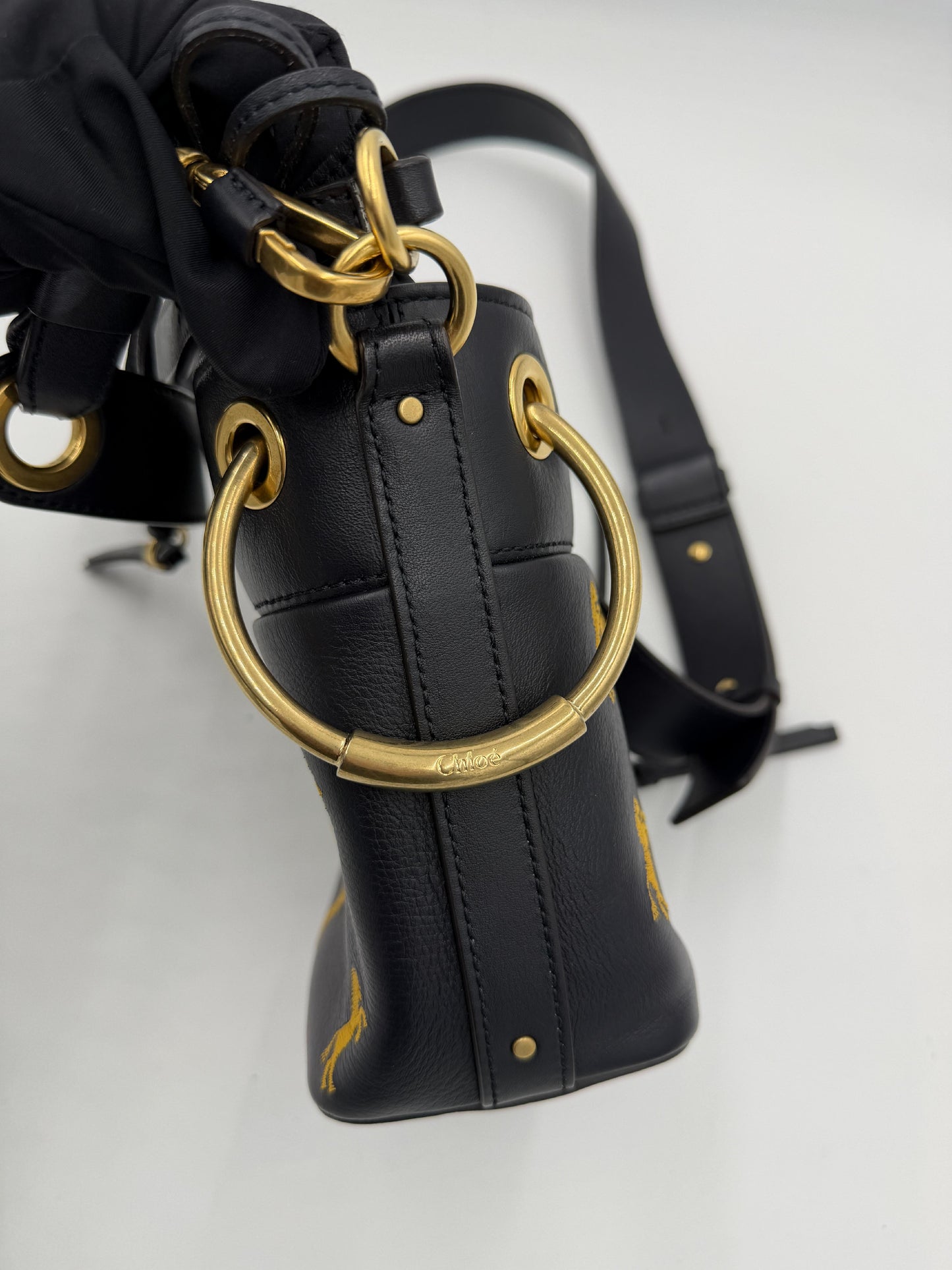 Chloe Roy Drawstring Bucket Bag