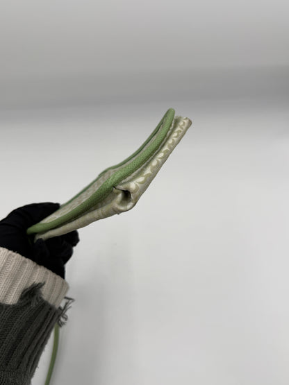 Loewe Anagram Canvas Mini Crossbody