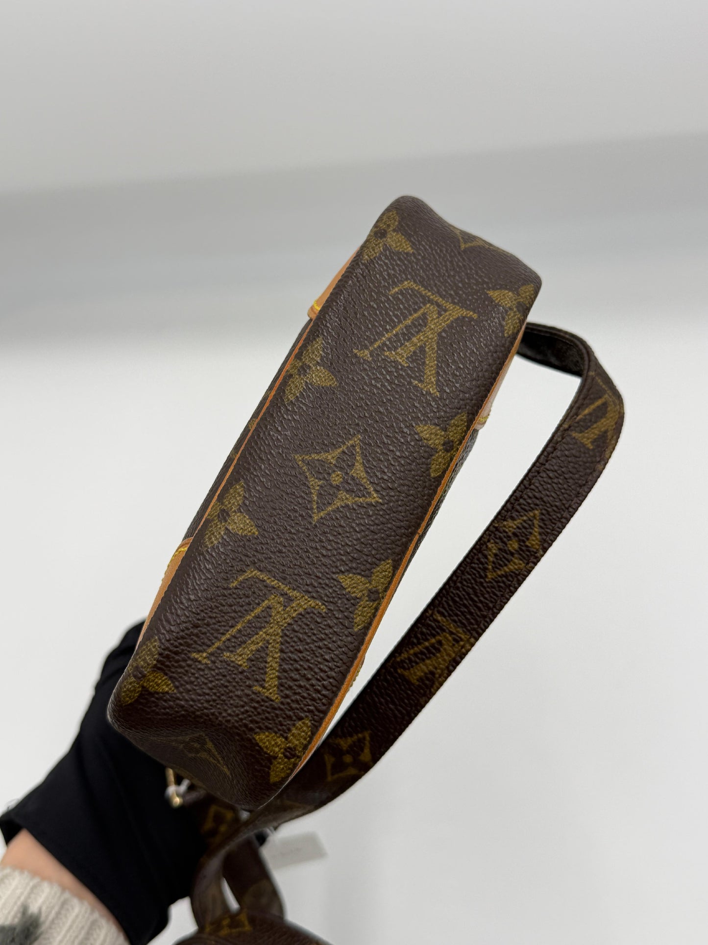Louis Vuitton Monogram Danube
