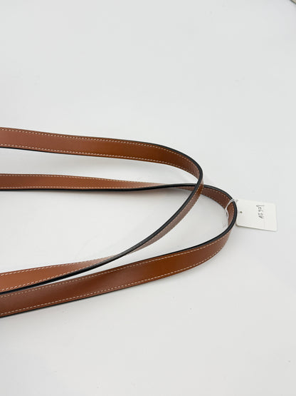 Celine Triomphe Carnival Tote