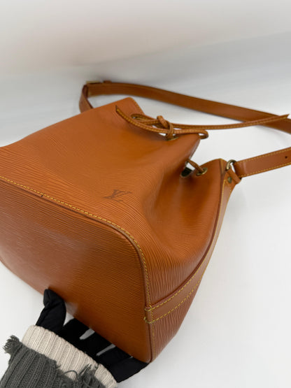 Louis Vuitton Noe Epi