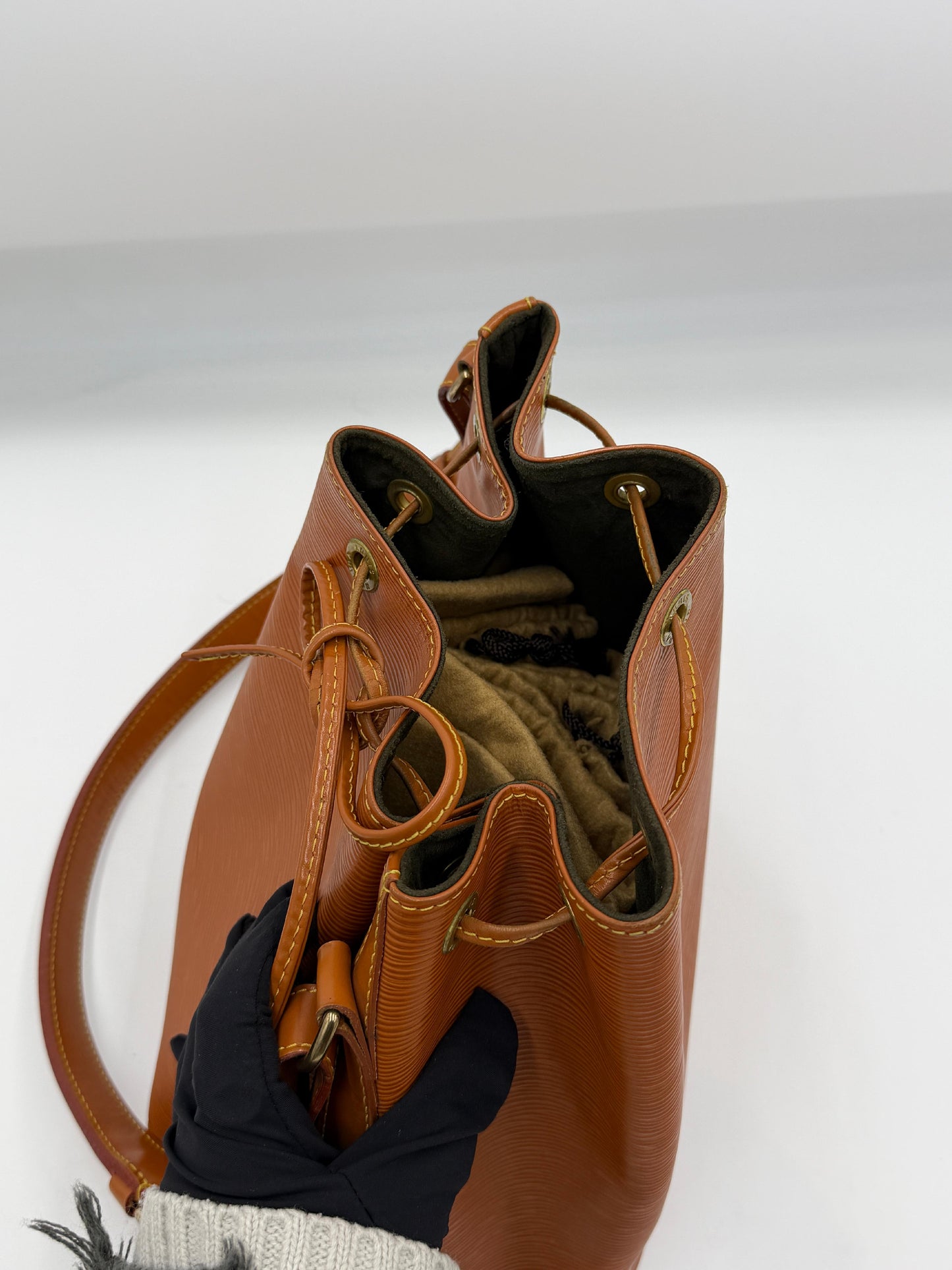 Louis Vuitton Noe Epi