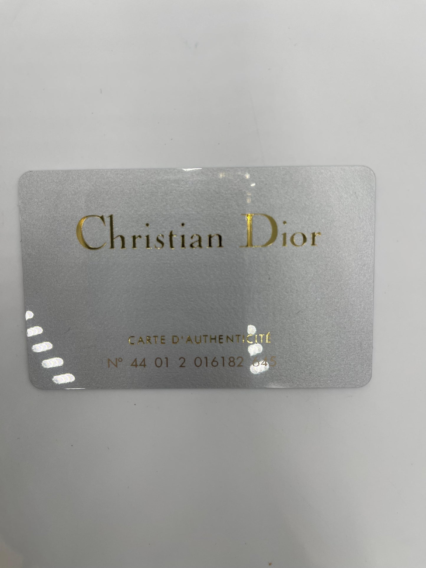 Dior Nylon Lady Dior Cheetah Print